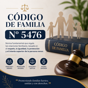 Lee más sobre el artículo Código de Familia N° 5476